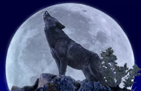 What is a wolf moon