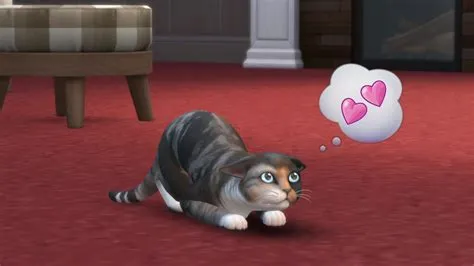 How long does it take for older cats to die sims 4