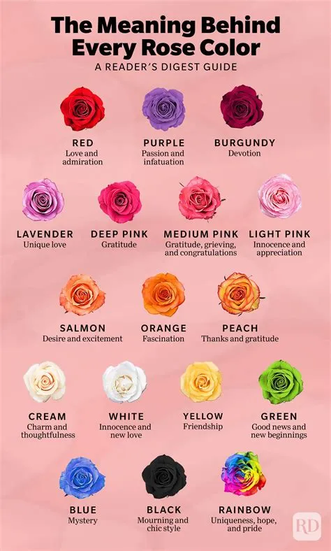 What do pink roses mean