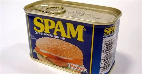 What does the s in spam stand for