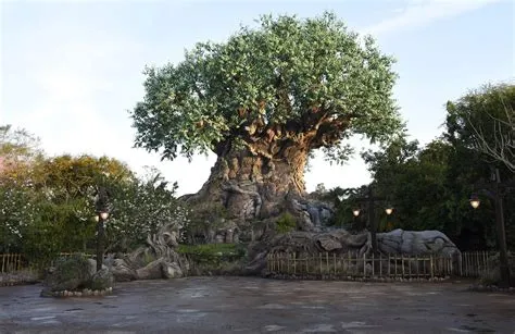 How big is animal kingdom