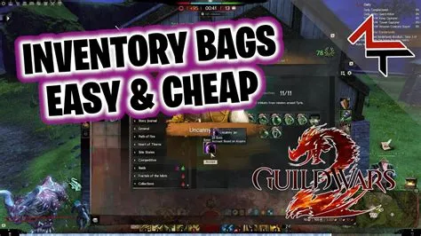 What is the maximum bag slots in guild wars 2