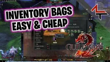 What is the maximum bag slots in guild wars 2?