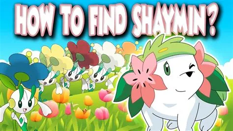 Can you find shaymin again