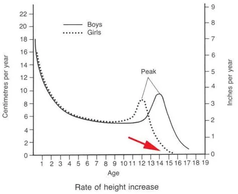 What age does iq stop increasing