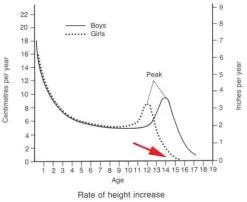 What age does iq stop increasing?