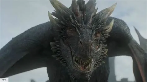 Who tamed balerion