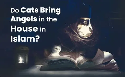 Do cats bring angels to your house in islam