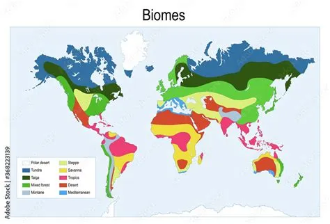 What biome covers 20 percent of the earth