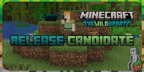 What is 1.19 2 release candidate