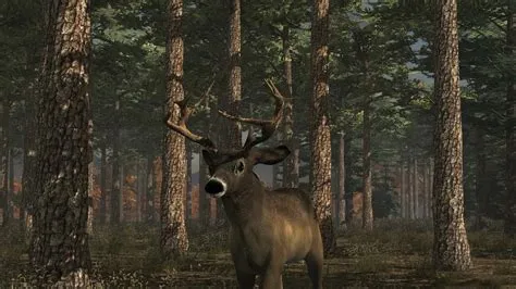 How big is deer simulator