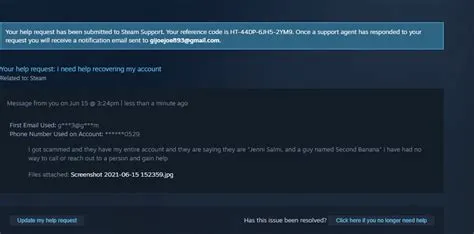 Can you make illegal purchases on steam