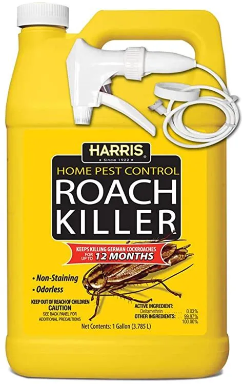 What is the strongest roach killing