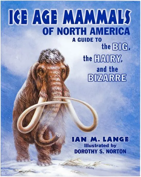 Is ice age still possible