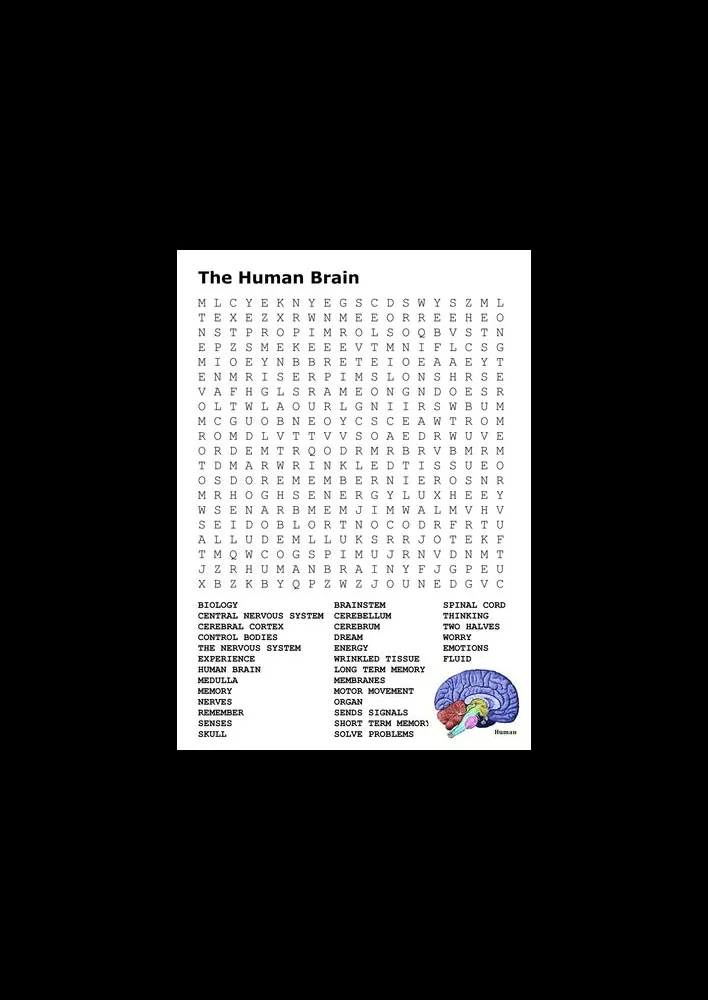 What does word search do for your brain