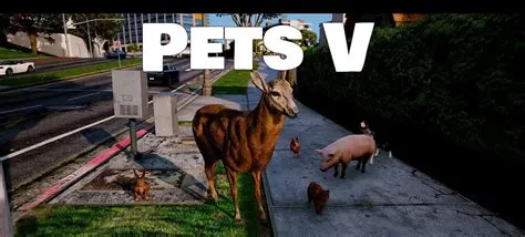 Does gta have pets