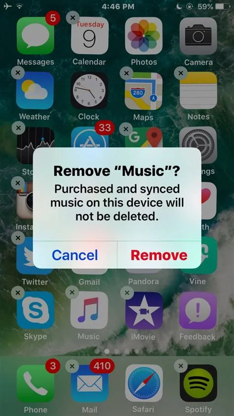 Does ditto remove music