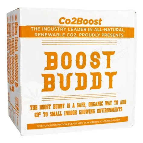 What is cp boost for best buddy