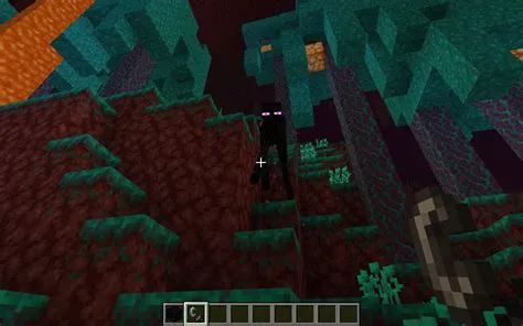 Where are endermen most likely to spawn