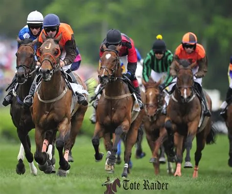 How many people bet on horse racing in australia