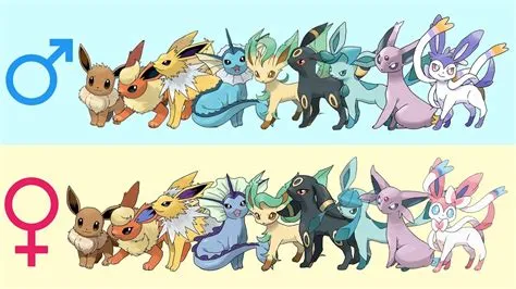 Can male eevees breed