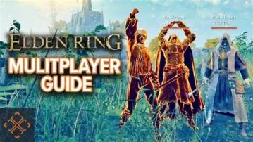 Did people stop playing elden ring?