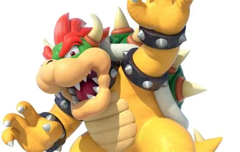 Why is he called bowser