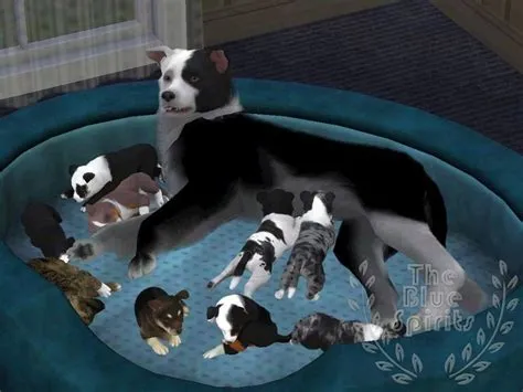 Can dogs give birth in sims 4