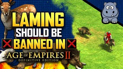 Can you get banned on aoe2