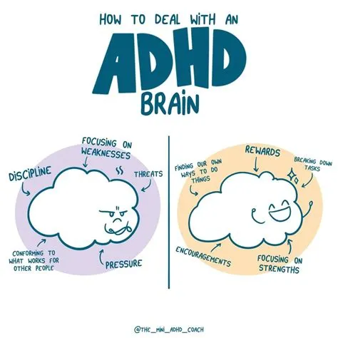 Why do adhd brains work better at night