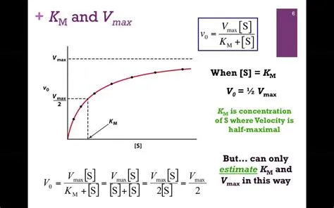 Is vmax always higher than km