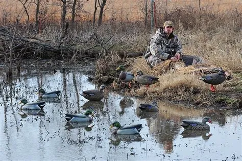 Is duck season a real game