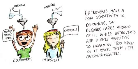 Do introverts have more dopamine