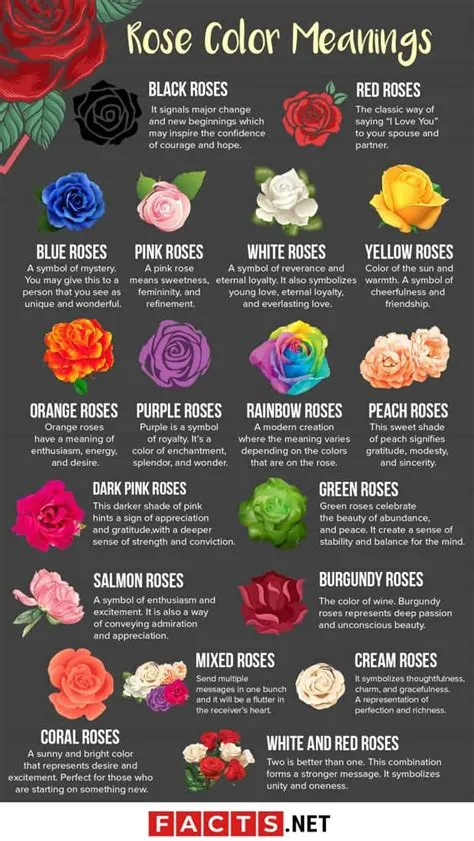 What color rose means hatred