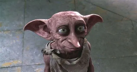 What age is dobby