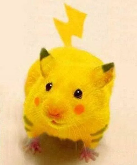 Is pikachu based off a mouse