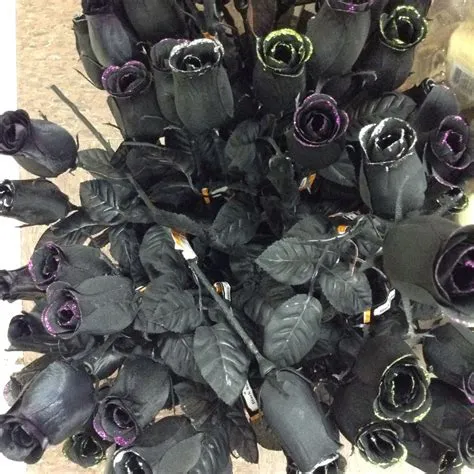 Are black roses real or fake