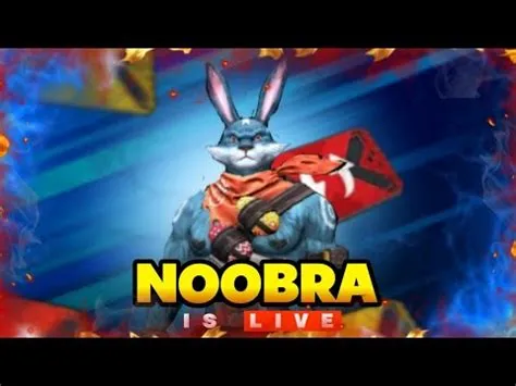 What is noobra