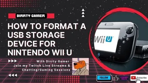 What usb formats can the wii read