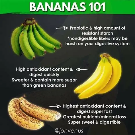 Are bananas good for memory