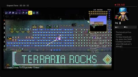 Who coded terraria