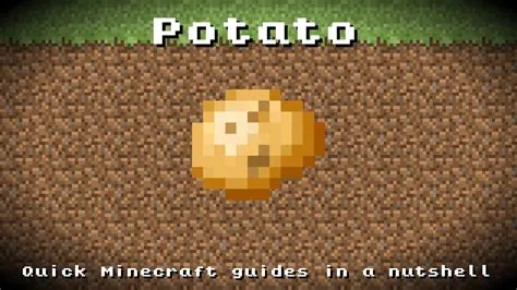 Can a potato pc run minecraft