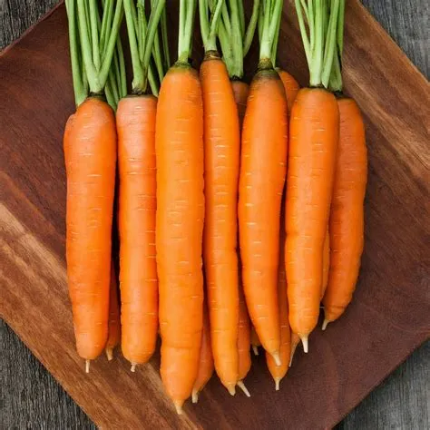 How old is carrot