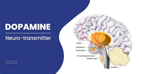 Does scrolling release dopamine