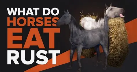 Can horses eat in rust