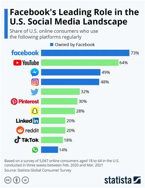 Which social media used most