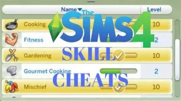 Why cant i use cheats in sims 4 mac?