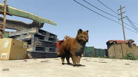 What is the fastest cat in gta