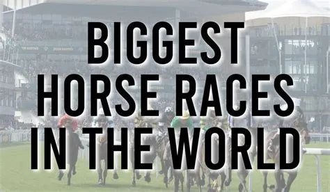 What are the 3 biggest races in the world