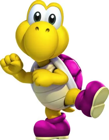 What is the pink koopa called